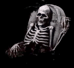 http://i956.photobucket.com/albums/ae43/tinalutinalu/horror_281.gif?t=1291324534