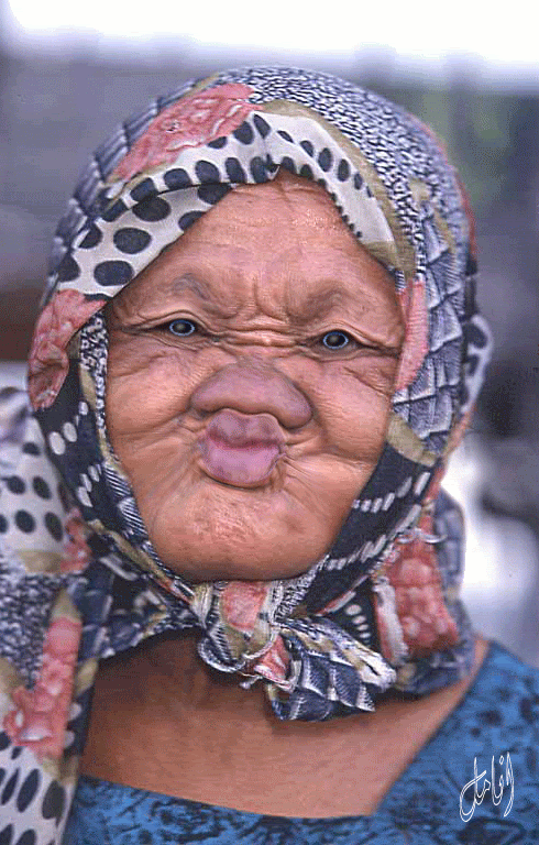 http://i956.photobucket.com/albums/ae43/tinalutinalu/th_UntitledjpgGoodMorningHaveaNiceDay.gif