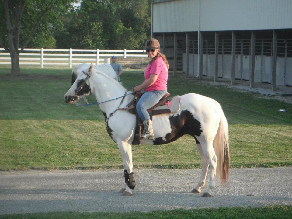 Muscled Quarter Horse