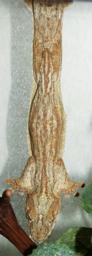 5-1-12021.jpg