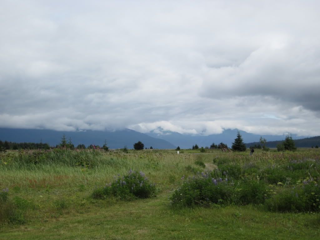 IMG_0042.jpg