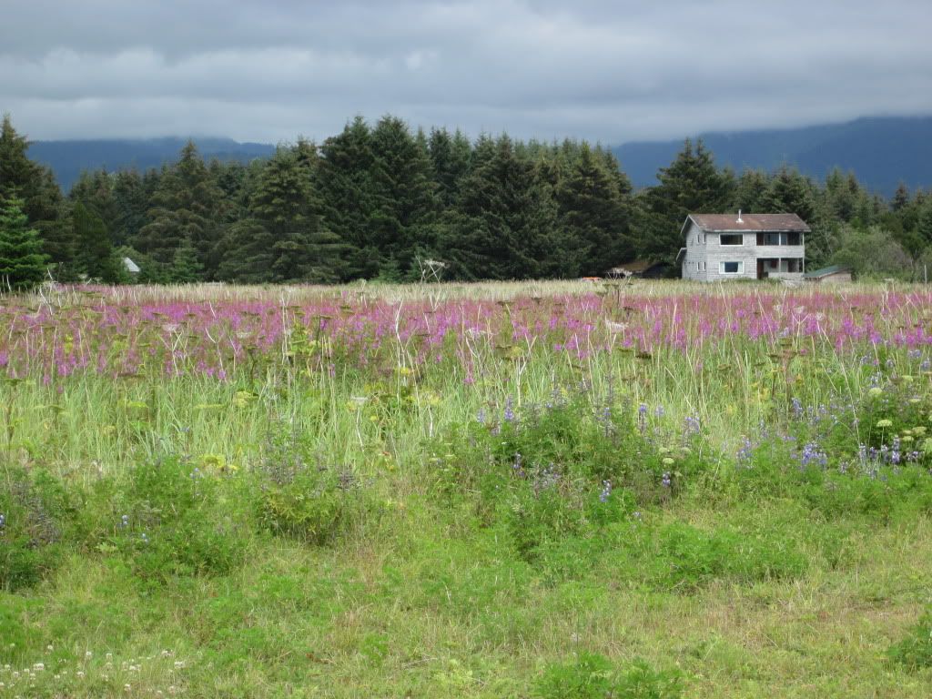 IMG_0045.jpg