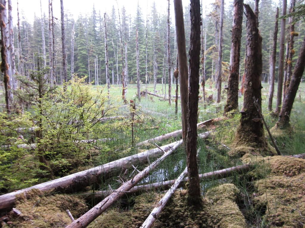IMG_0080.jpg