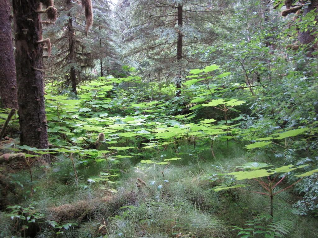 IMG_0083.jpg