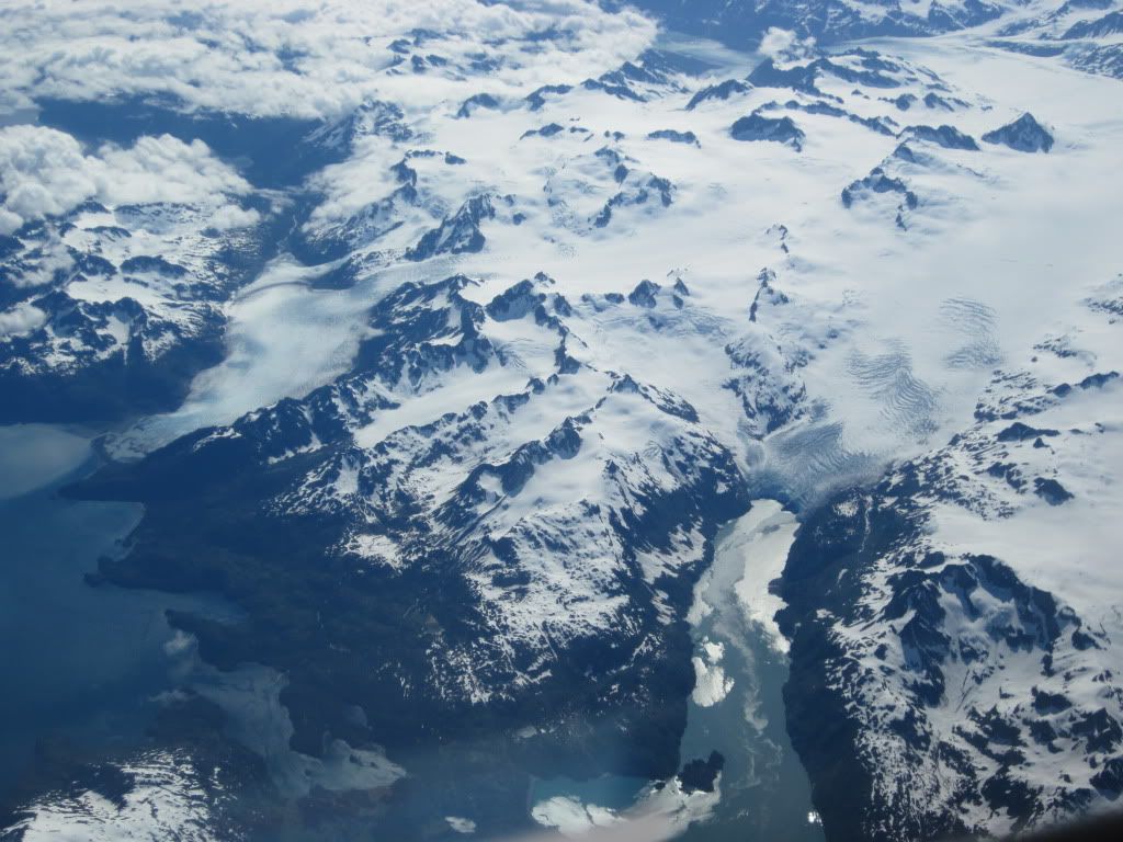 IMG_0126.jpg