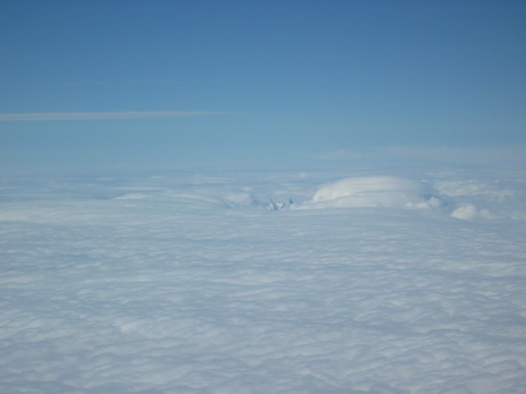 IMG_0161.jpg