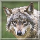 Wolf_zps111c2433.png