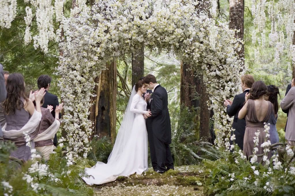  photo Twilight-Breaking-Dawn-Wedding-Dress-Kristen-Stewart-9.jpg