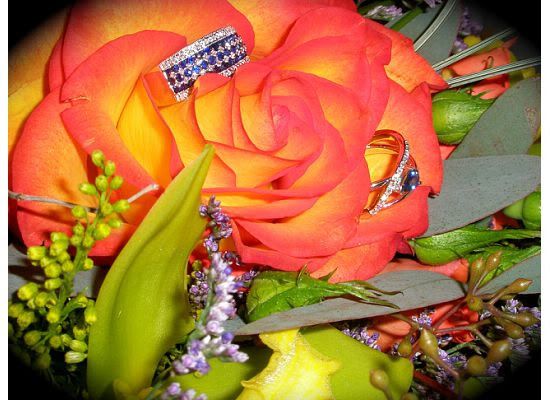 RingsColour-1