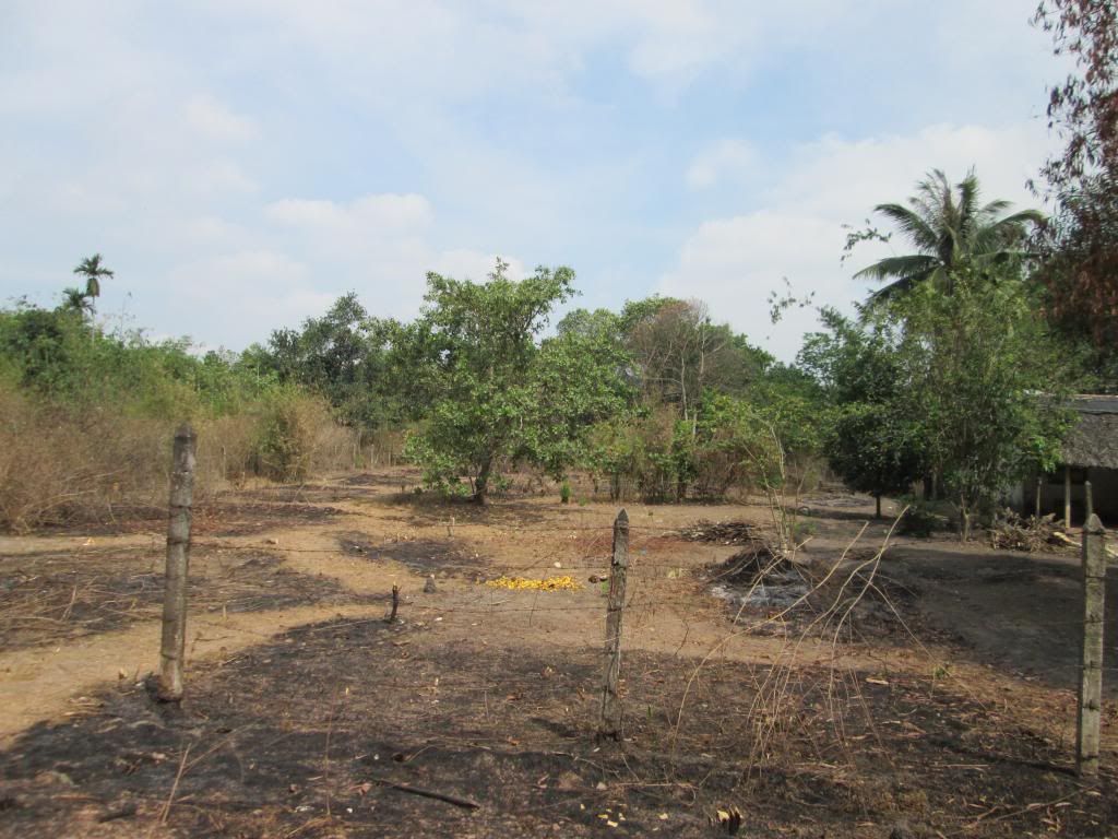 Đất Củ Chi gần Khu Nông Nghiệp Công Nghệ Cao - 5