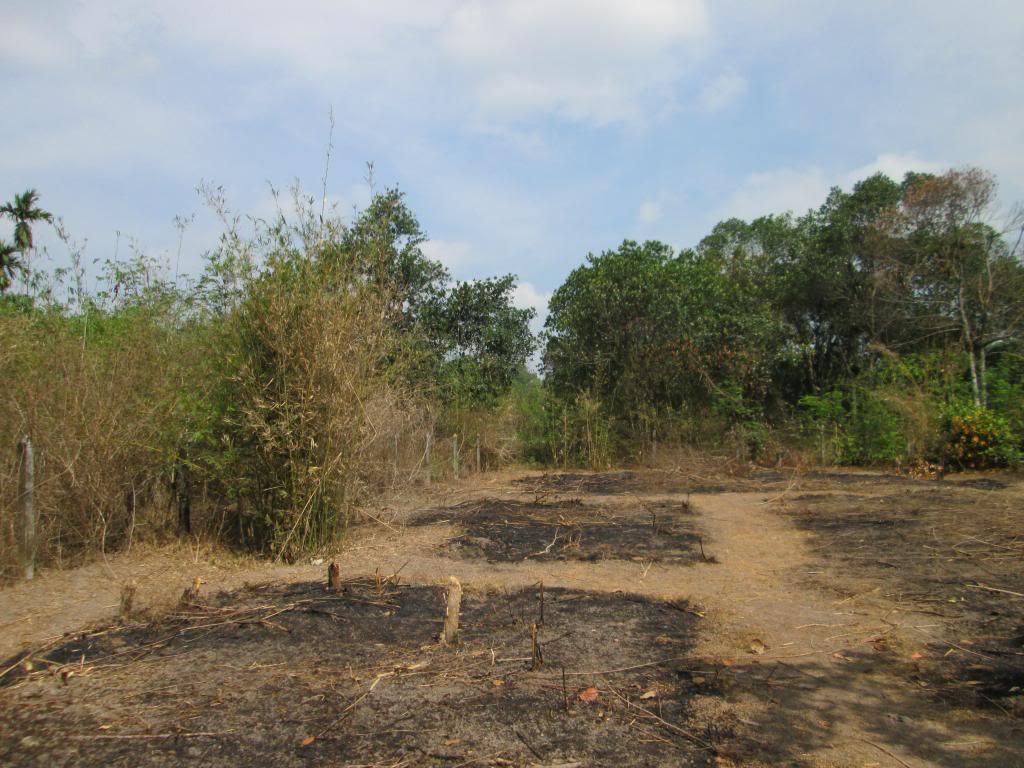 Đất Củ Chi gần Khu Nông Nghiệp Công Nghệ Cao - 4