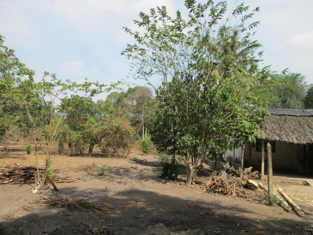 Đất Củ Chi gần Khu Nông Nghiệp Công Nghệ Cao - 3