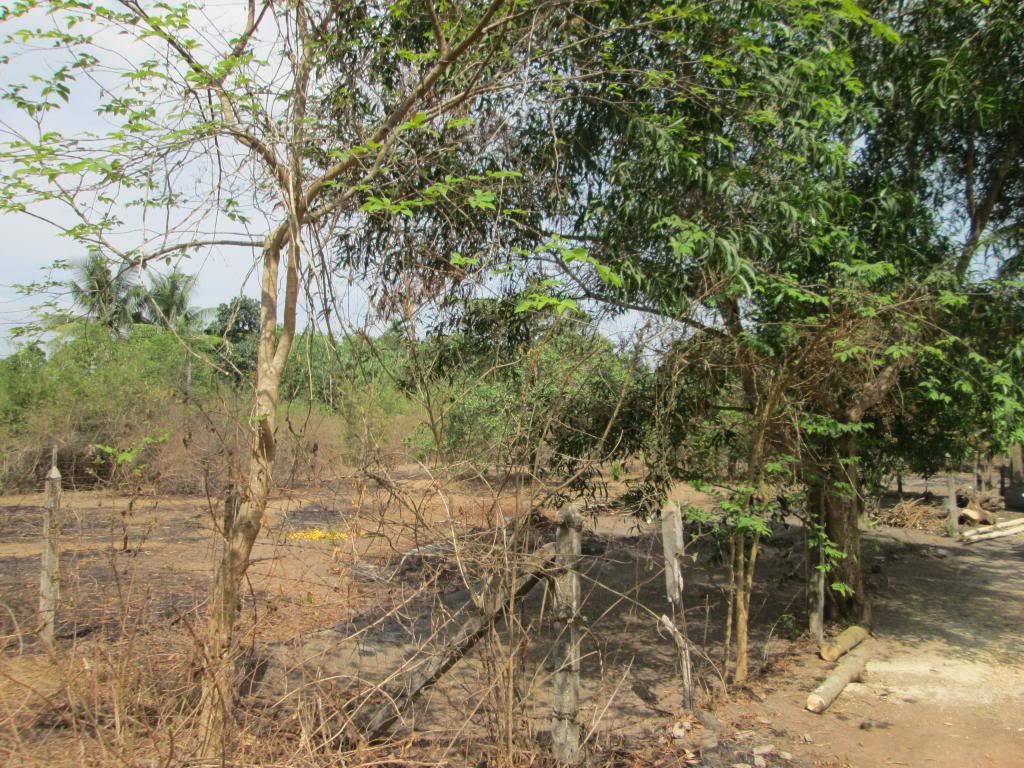 Đất Củ Chi gần Khu Nông Nghiệp Công Nghệ Cao - 1