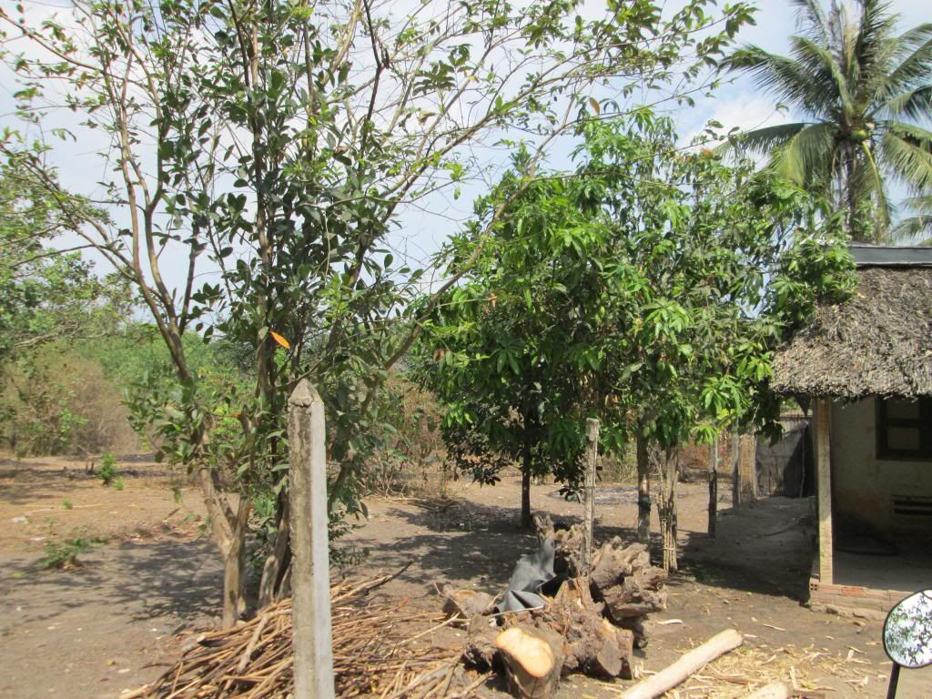 Đất Củ Chi gần Khu Nông Nghiệp Công Nghệ Cao - 2