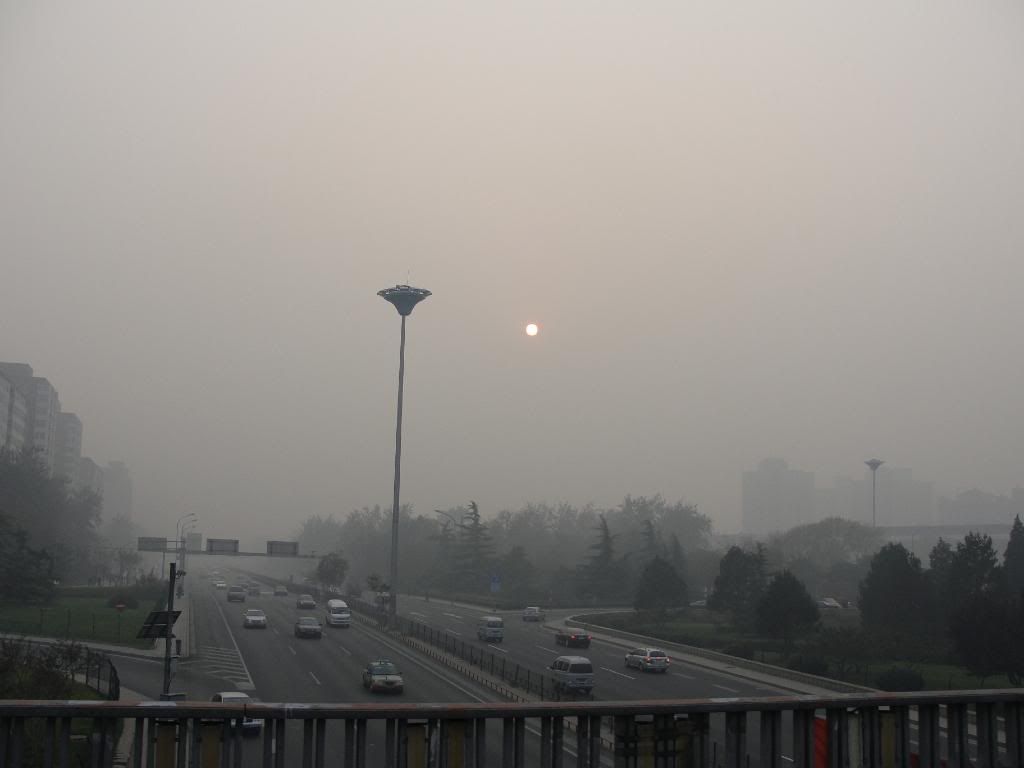 polluted china