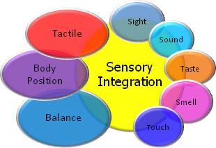  photo sensory-integration_zps48bce3eb.jpg