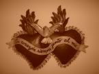 amor 1 (c) valucha de amor imagenes