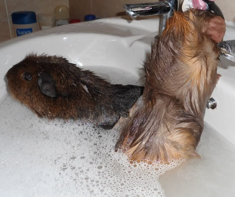 BathTime004.jpg