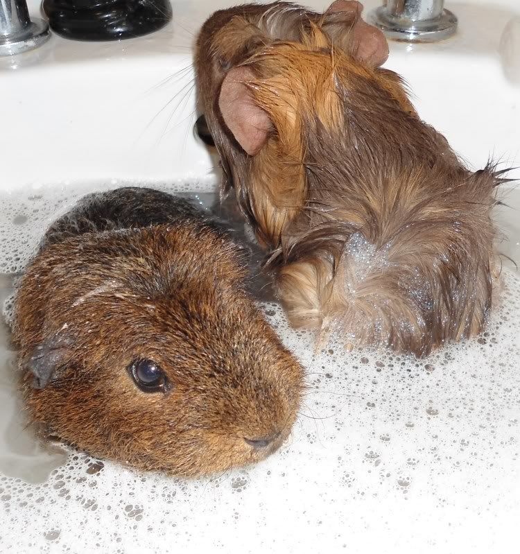 BathTime005.jpg