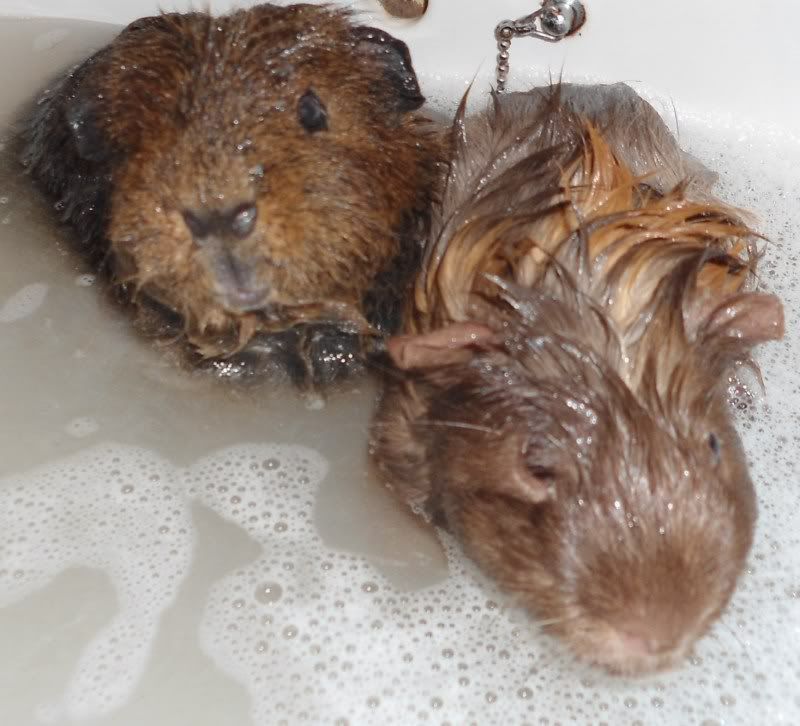 BathTime006.jpg