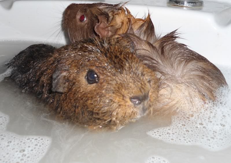 BathTime008.jpg
