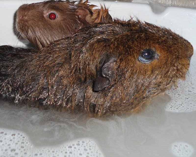 BathTime009.jpg