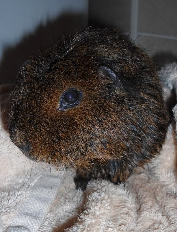 BathTime011.jpg