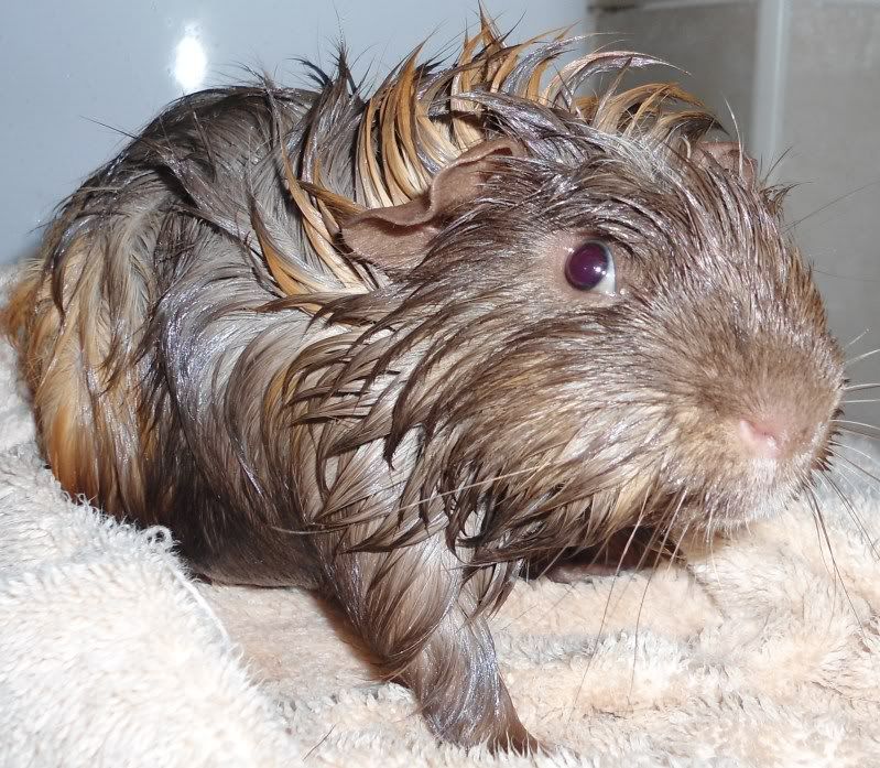BathTime013.jpg