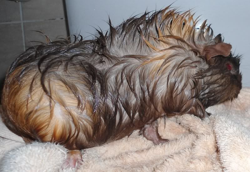 BathTime014.jpg