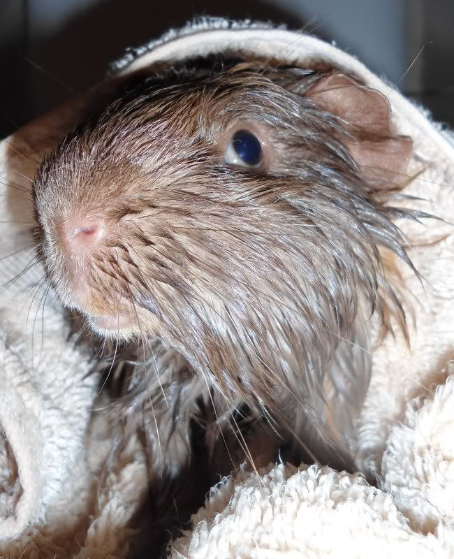 BathTime016.jpg