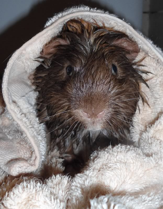 BathTime017.jpg