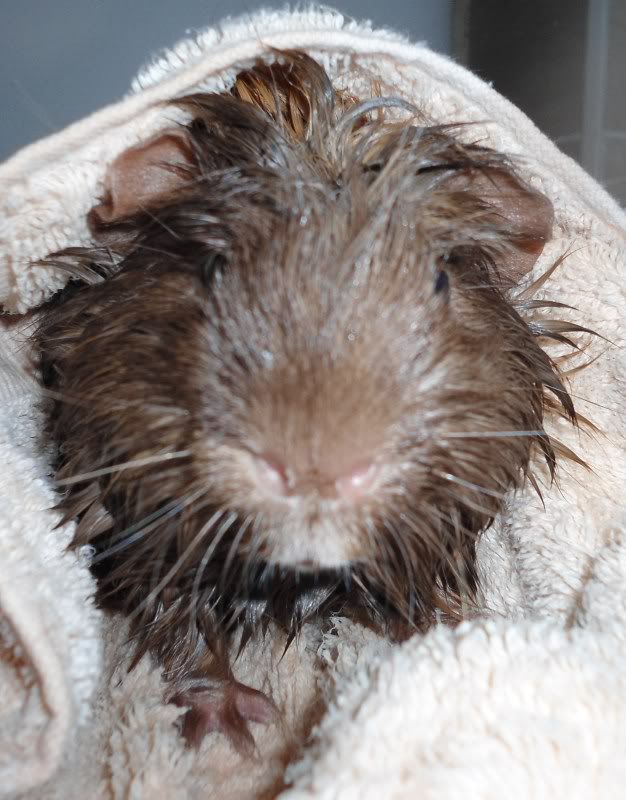 BathTime018.jpg