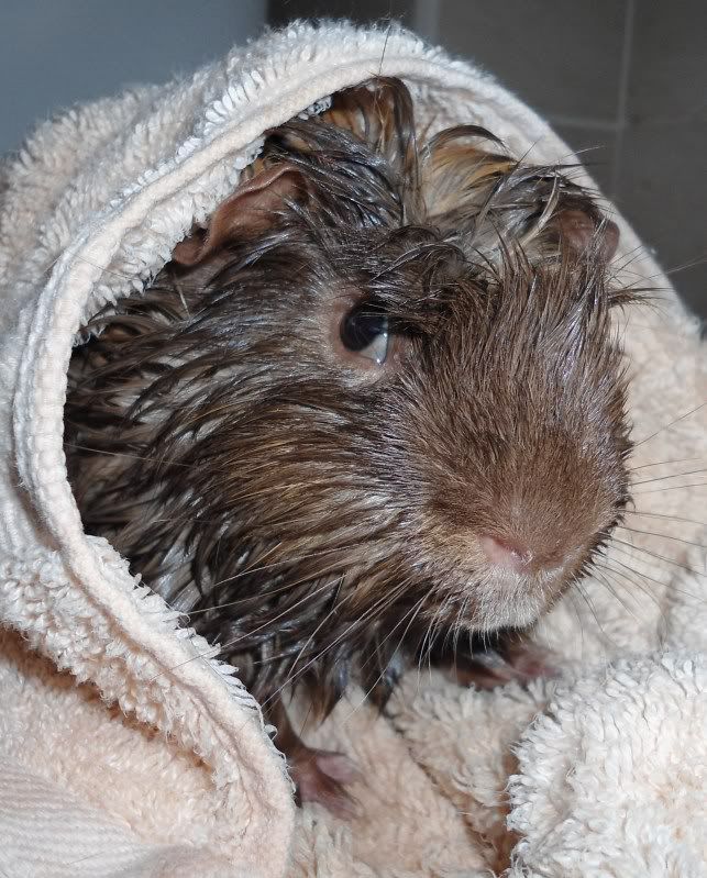 BathTime019.jpg