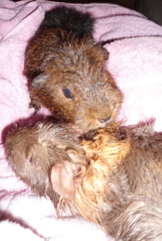 BathTime022.jpg