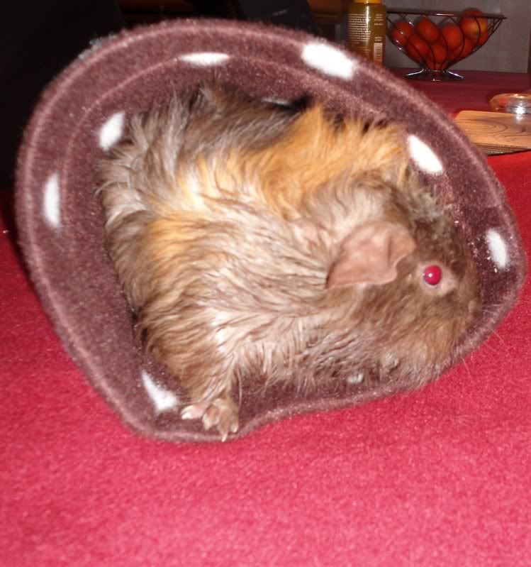 BathTime025.jpg