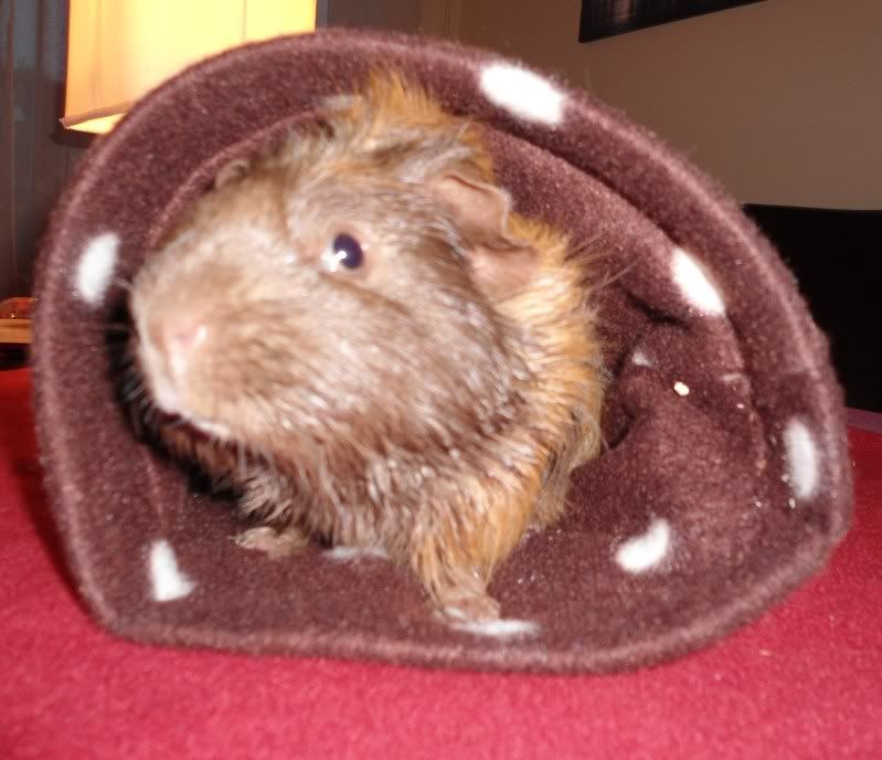 BathTime027.jpg