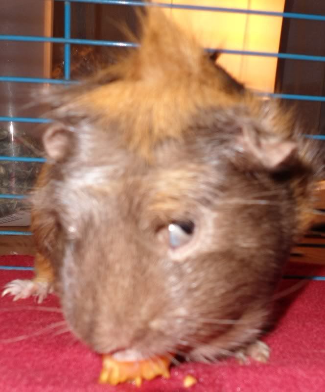 Feb2012009.jpg