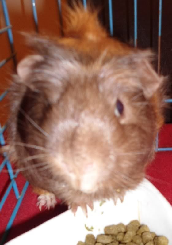 Feb2012011.jpg
