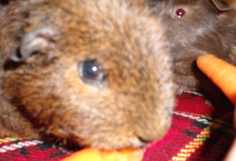 Feb2012020.jpg