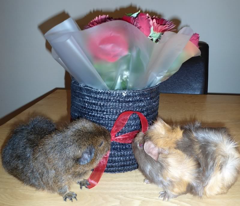 Feb2012022.jpg