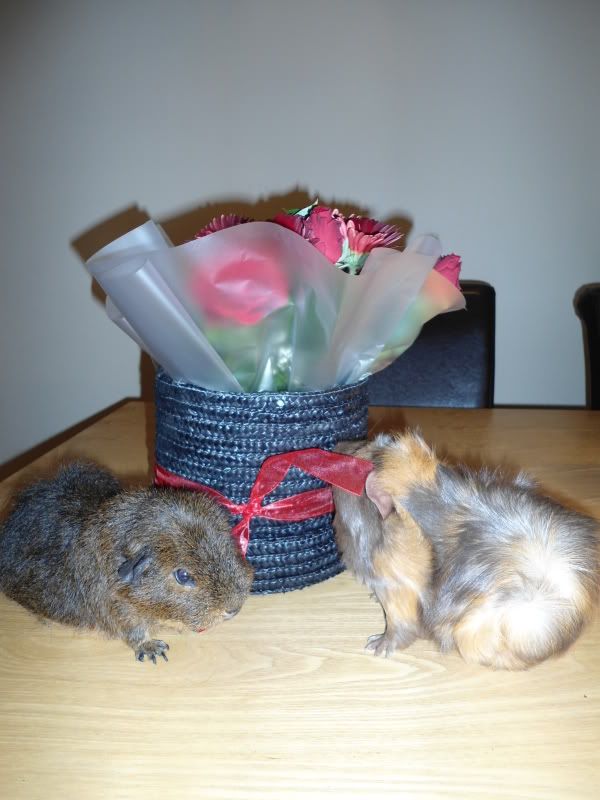 Feb2012023.jpg