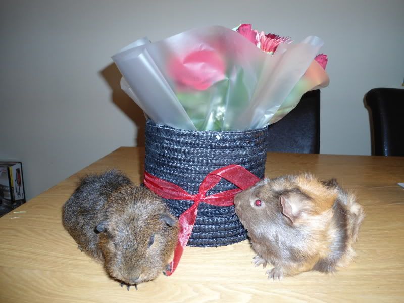 Feb2012024.jpg