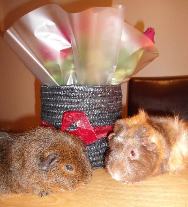Feb2012029.jpg