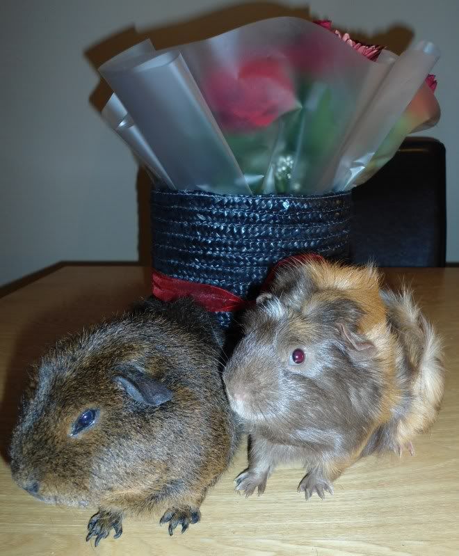 Feb2012032.jpg