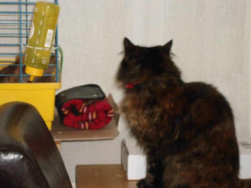 Feb2012036.jpg