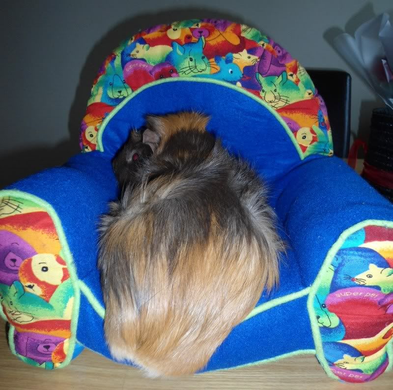 Feb2012052.jpg