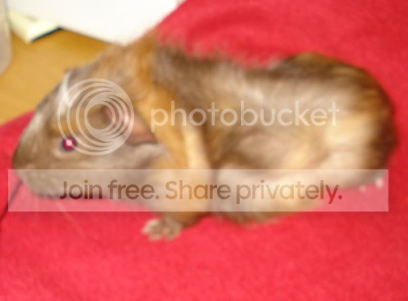Picture035.jpg