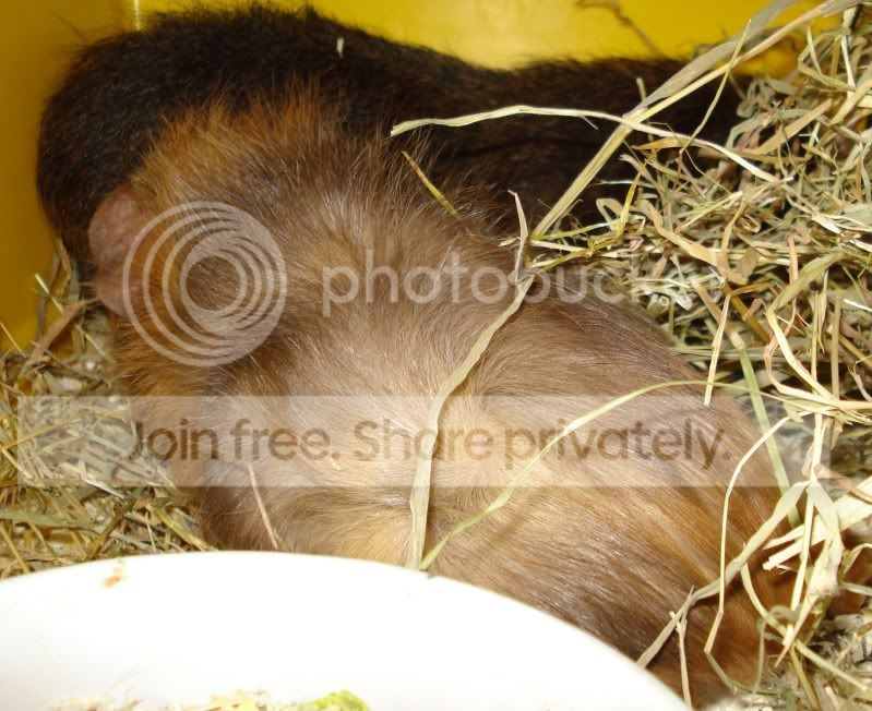 Picture092.jpg