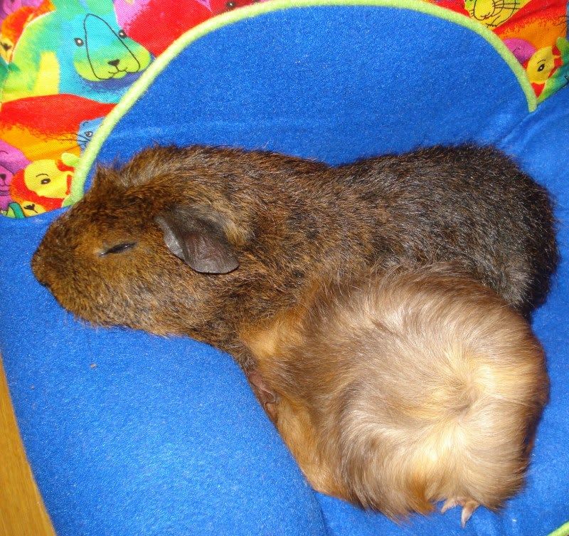 Picture114.jpg