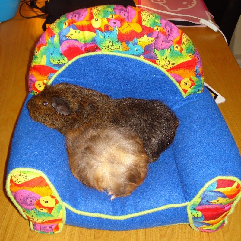 Picture115.jpg